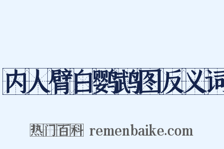 内人臂白鹦鹉图反义词是什么意思的图片